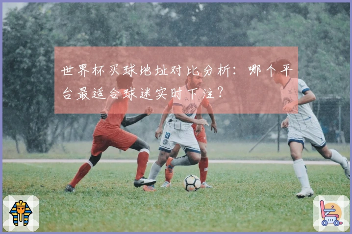世界杯买球地址对比分析：哪个平台最适合球迷实时下注？