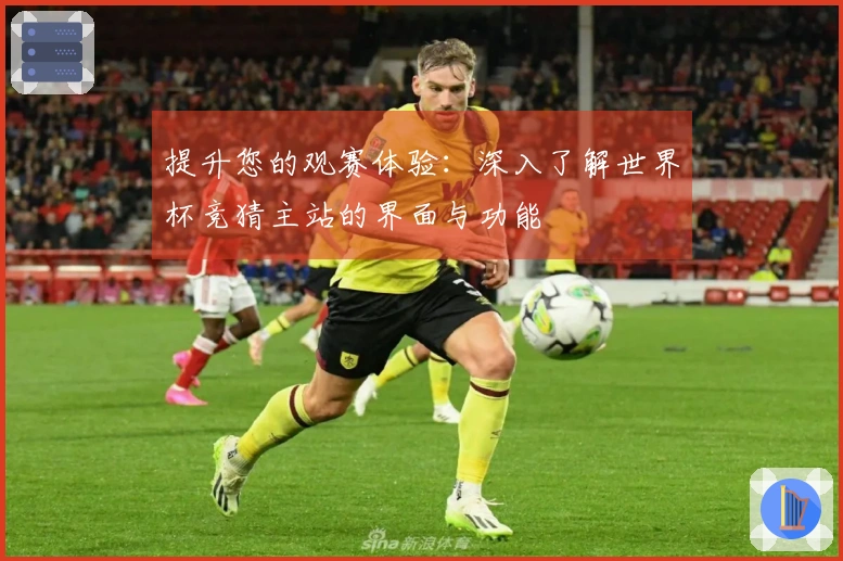 提升您的观赛体验：深入了解世界杯竞猜主站的界面与功能