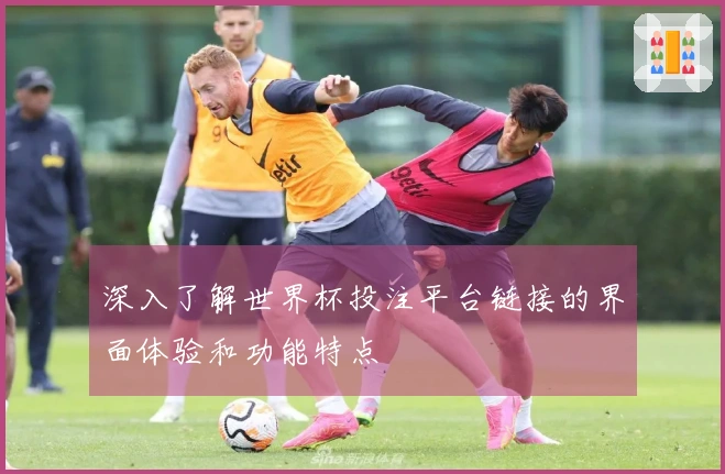 深入了解世界杯投注平台链接的界面体验和功能特点