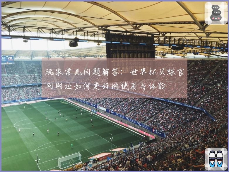玩家常见问题解答：世界杯买球官网网址如何更好地使用与体验