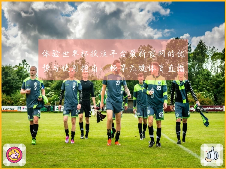 体验世界杯投注平台最新官网的优势与使用指南，畅享无缝体育直播服务