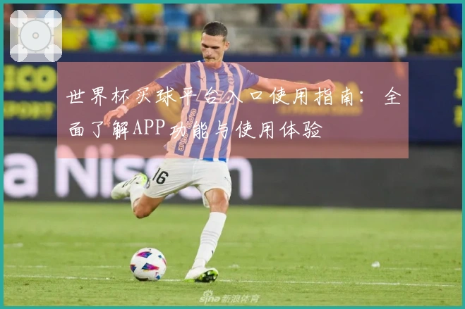 世界杯买球平台入口使用指南：全面了解APP功能与使用体验
