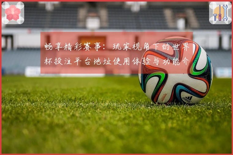 畅享精彩赛事：玩家视角下的世界杯投注平台地址使用体验与功能介绍
