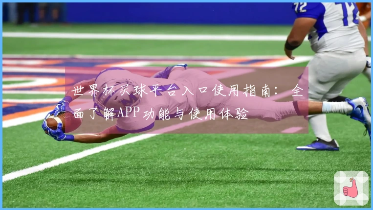 世界杯买球平台入口使用指南：全面了解APP功能与使用体验