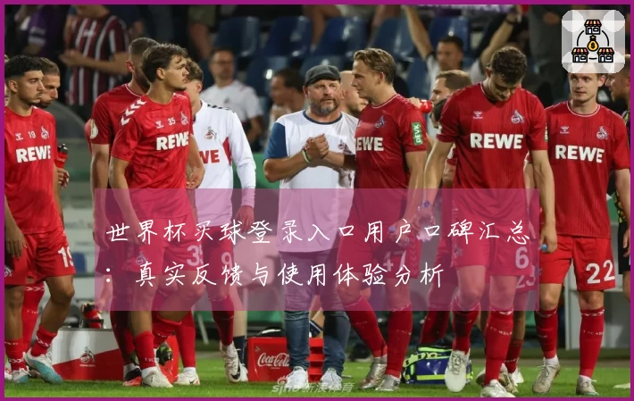 世界杯买球登录入口用户口碑汇总：真实反馈与使用体验分析