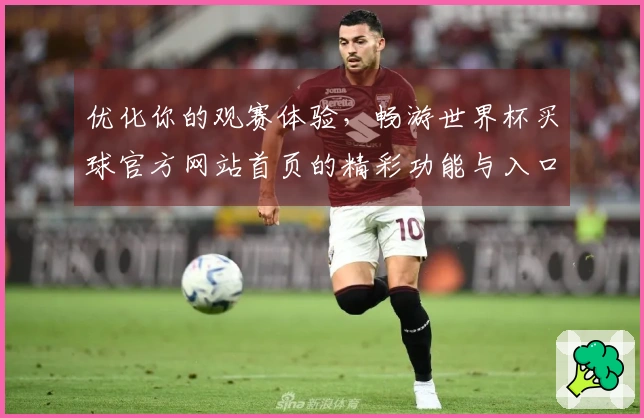 优化你的观赛体验，畅游世界杯买球官方网站首页的精彩功能与入口指南