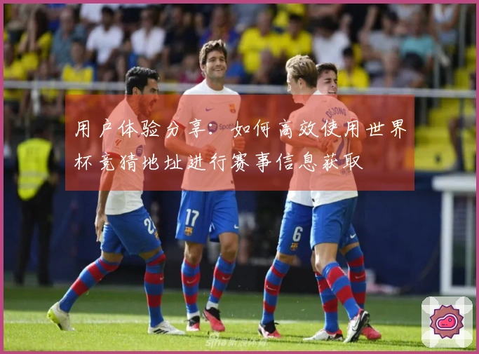 用户体验分享：如何高效使用世界杯竞猜地址进行赛事信息获取