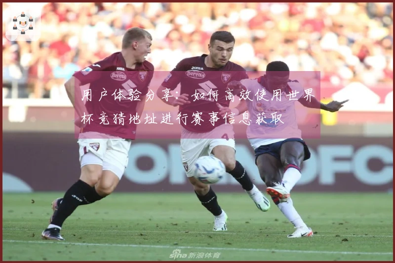 用户体验分享：如何高效使用世界杯竞猜地址进行赛事信息获取
