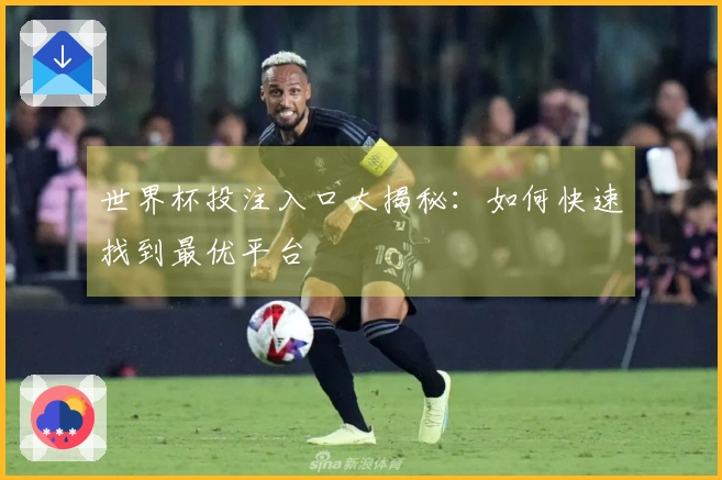 世界杯投注入口大揭秘：如何快速找到最优平台