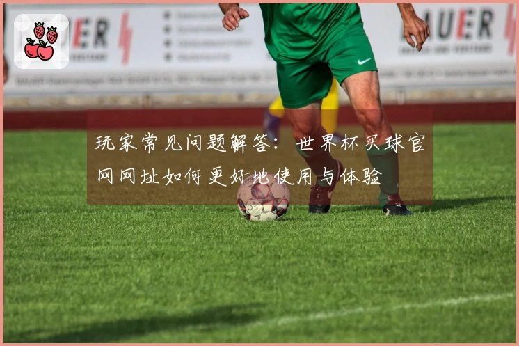 玩家常见问题解答：世界杯买球官网网址如何更好地使用与体验