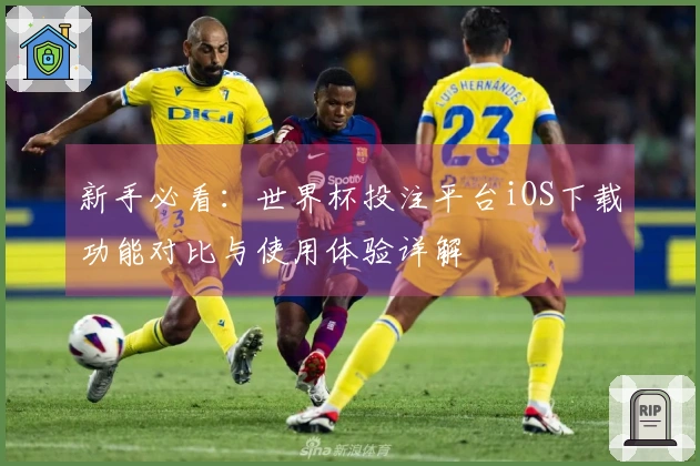 新手必看：世界杯投注平台iOS下载功能对比与使用体验详解