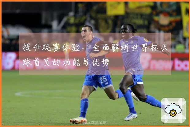 提升观赛体验，全面解析世界杯买球首页的功能与优势