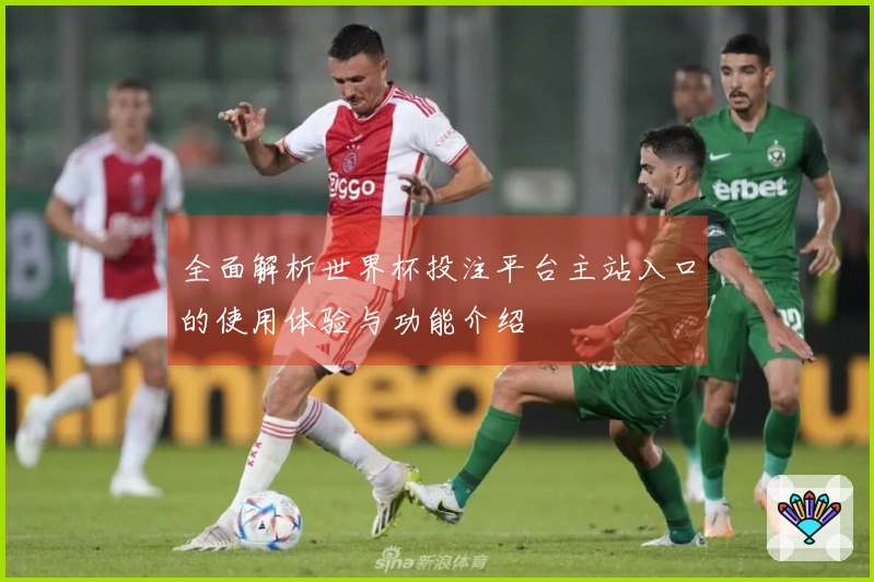全面解析世界杯投注平台主站入口的使用体验与功能介绍